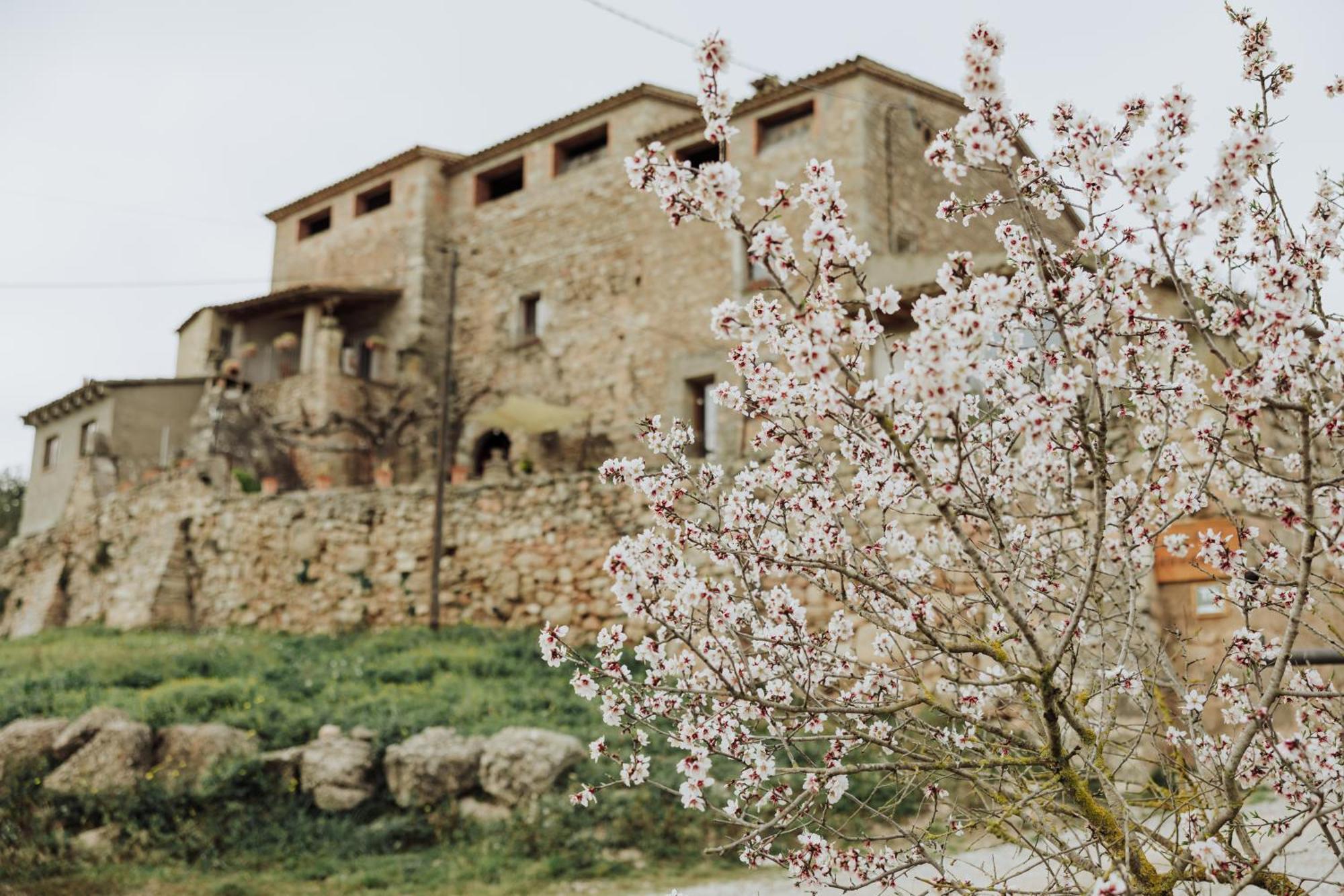 Masia Aubareda San Martín de Tous Exterior foto